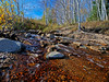Hi Dynamic Range Images : These images are created by shooting multiple images of  the same scene, almost simultaneously, and then combining them to create one image that (hopefully) has details in both the highlights and the deepest shadows. There is lots to learn about this 'newest' technique in photography and that's what adds to the fun!